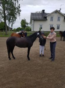 Ateshé Larsson-Firouz visar hur huvudet ska smalna av ner mot mulen. Häst: Ann´s Sweet Zafirah.