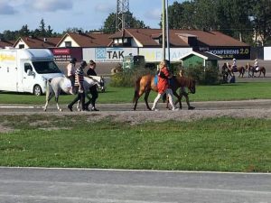 Ann's Zamiro och MCC Tabriz's Sham var även med på ponnyridningen som annordnades.